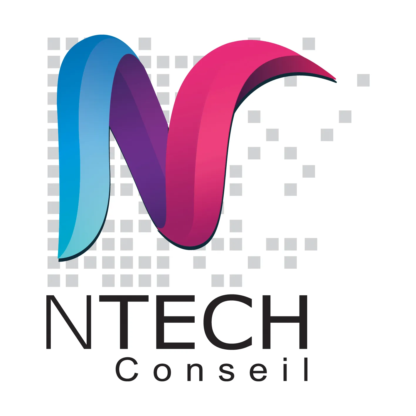 NTech Conseil Logo